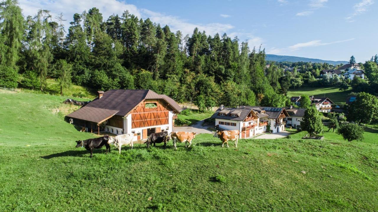 Appartments Neuhof Collalbo Dış mekan fotoğraf