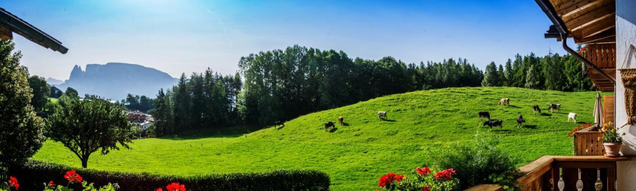 Appartments Neuhof Collalbo Dış mekan fotoğraf